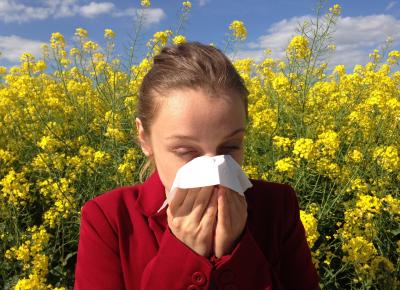Wenn der Pollenflug beginnt, leiden viele Menschen unter einer Allergie. - Bild: Pixabay